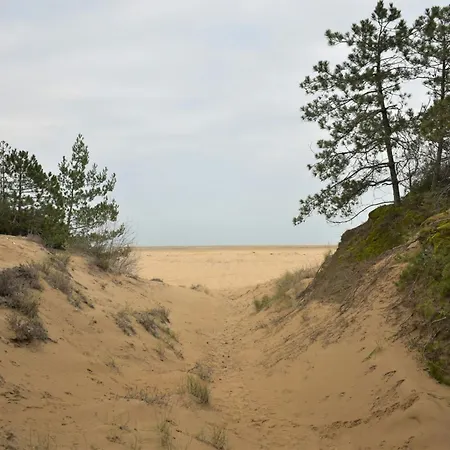 Cozy Coastal Flat With Balcony In Lignano * Lignano Sabbiadoro